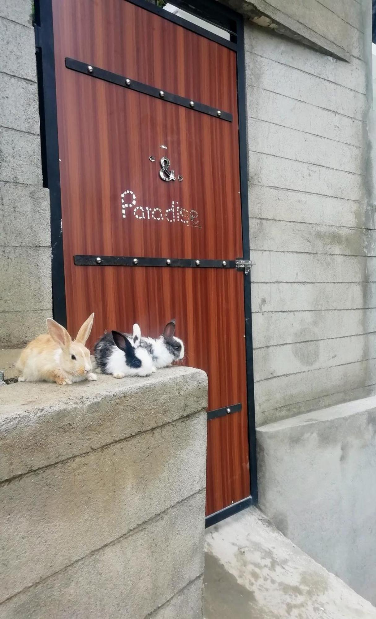 ホテル Ella C&D Paradise エクステリア 写真